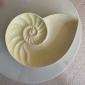 SOLD Shell decor